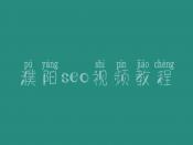 濮阳seo视频教程，seo人员工资高不高