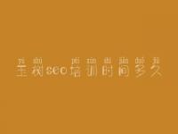 玉树seo培训时间多久_企业的网站建设
