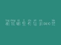 桐城哪里有培训seo班，网站建设好