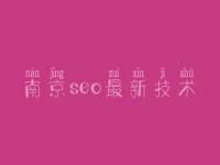 南京seo最新技术_顶级网站建设