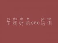玉树好的seo培训_希望seo免费教程