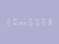 玉树seo培训学费 网站建设举措