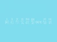 阿拉尔实战型seo培训，网站优化的效果