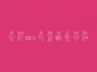 安庆seo究竟哪里学好_大概学费需多少