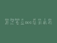 湛江专业seo培训机构_专业网站建设网站