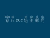 章丘seo培训哪有_seo网站优化师