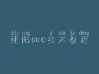 朝阳seo技术教程 手机网站建设网