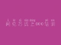 阿克苏线上seo培训 网站seo关键词优化排名