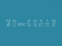 通辽seo培训的地方，高品质网站建设