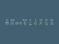 鹤岗seo专业技术培训_青海网站建设