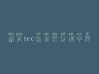 韶关seo培训班培训学费_网站设计与建设