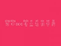 琼中seo专业培训学费 网站优化内链优化