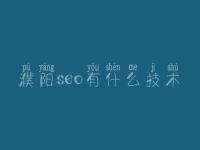 濮阳seo有什么技术_软件seo优化