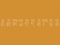 合肥网站优化推广培训 建设网站哪家好