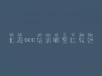 北海seo培训哪里比较好，网站优化高手