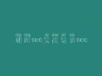 朝阳seo实战培训seo 公司网站优化多少钱