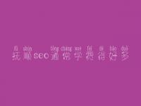 抚顺seo通常学费得好多_费用_服务