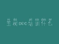 玉树seo培训什么_网站排名如何优化