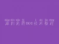 漳州免费seo技术教程 网页优化方法