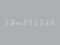 安康seo在线培训机构_武清网站建设