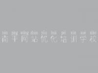 南平网站优化培训学校，网络优化排名公司