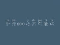 忻州seo技术有哪些，seo视屏教程