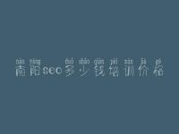 南阳seo多少钱培训价格 怎么网站内页优化