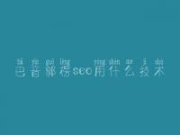 巴音郭楞seo用什么技术_seo推广教程