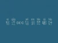宿迁seo培训班哪好，高级网站建设