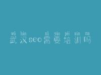 武汉seo需要培训吗_seo优化学习