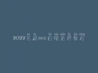 2022芜湖seo白帽免费教程_一流白帽实操