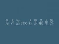 葫芦岛seo技术哪里好_网站优化什么意思