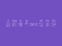 益阳那个seo培训好，官网建设公司