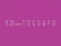 岳阳seo实战培训那个好，网站优化是怎样做到的