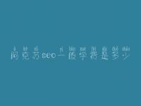 阿克苏seo一般学费是多少_收费标准_服务