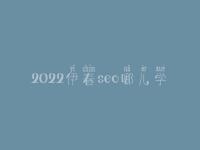 2022伊春seo哪儿学_课程_电话