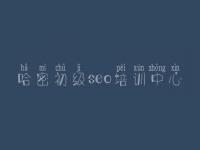 哈密初级seo培训中心_seo教程课件