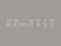 朝阳seo营销培训，官网建设公司