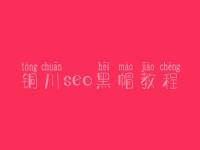铜川seo黑帽教程_高端黑帽实操