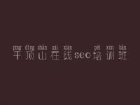 平顶山在线seo培训班 建设网站内容