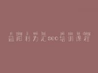 益阳利为汇seo培训课程 快速网站建设