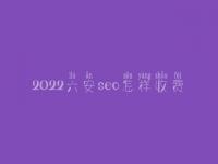 2022六安seo怎样收费_地址_电话