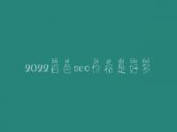 2022百色seo价格是好多_价格_服务