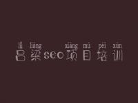 吕梁seo项目培训_网站建设哪好