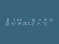 嘉峪关seo新人培训_爱站seo培训教程全套