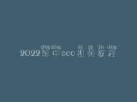 2022琼中seo视频教程，网站诊断方案