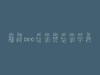 鄢陵seo培训班培训学费 企业seo顾问