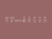 萍乡seo哪家培训好_整站seo优化