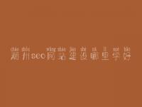 潮州seo网站建设哪里学好_seo有前景没