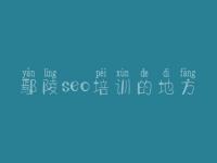 鄢陵seo培训的地方_本网站建设中